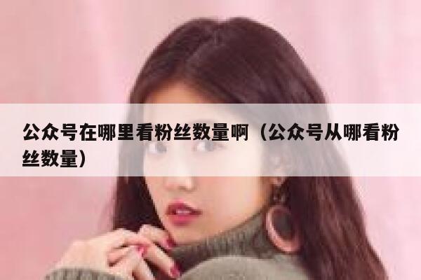 公众号在哪里看粉丝数量啊（公众号从哪看粉丝数量） 第1张