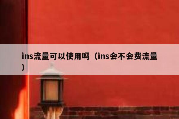 ins流量可以使用吗（ins会不会费流量） 第1张