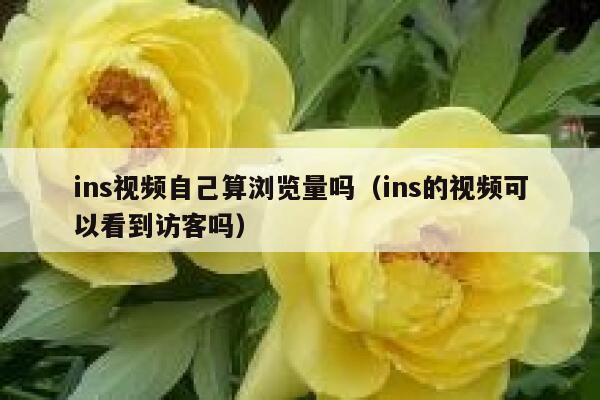 ins视频自己算浏览量吗（ins的视频可以看到访客吗） 第1张