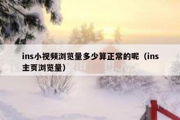 ins小视频浏览量多少算正常的呢（ins主页浏览量） 第1张