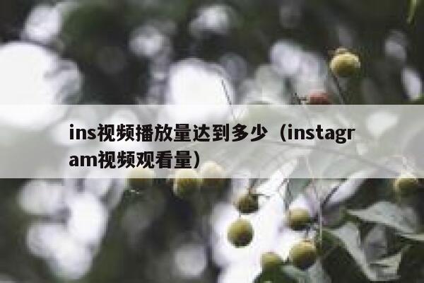 ins视频播放量达到多少（instagram视频观看量） 第1张