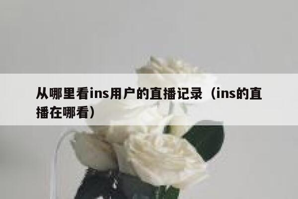从哪里看ins用户的直播记录（ins的直播在哪看） 第1张