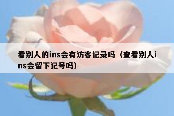 看别人的ins会有访客记录吗(查看别人ins会留下记号吗) 第1张 看别人的ins会有访客记录吗(查看别人ins会留下记号吗) 第1张