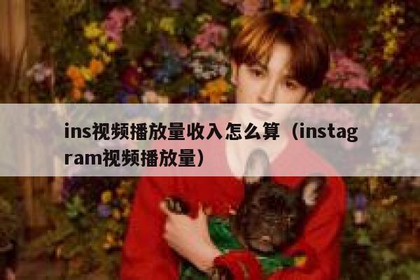 ins视频播放量收入怎么算(instagram视频播放量) 第1张 ins视频播放量收入怎么算(instagram视频播放量) 第1张