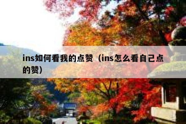 ins如何看我的点赞(ins怎么看自己点的赞) 第1张 ins如何看我的点赞(ins怎么看自己点的赞) 第1张