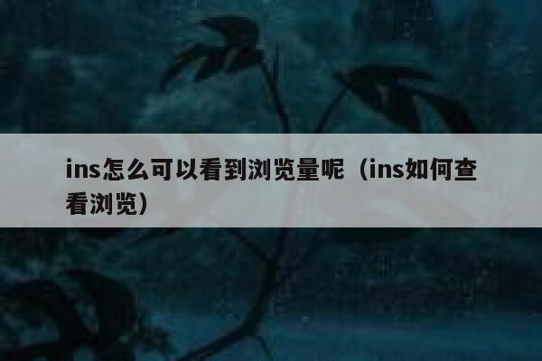 ins怎么可以看到浏览量呢(ins如何查看浏览) 第1张 ins怎么可以看到浏览量呢(ins如何查看浏览) 第1张