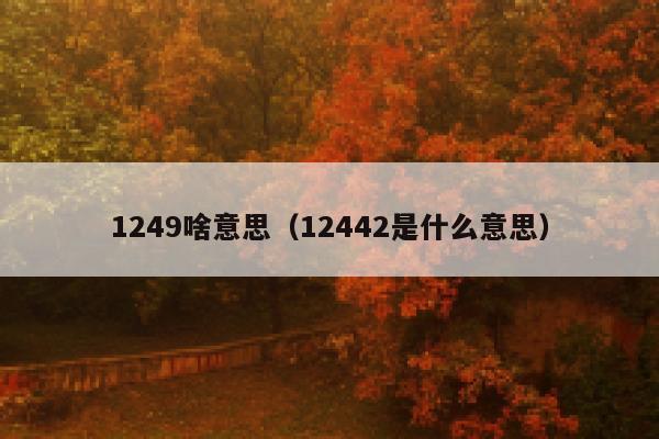 1249啥意思(12442是什么意思) 第1张 1249啥意思(12442是什么意思) 第1张