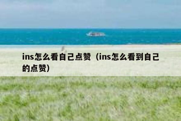 ins怎么看自己点赞（ins怎么看到自己的点赞） 第1张