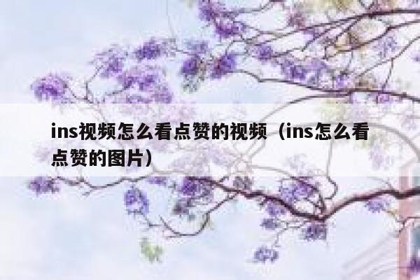 ins视频怎么看点赞的视频（ins怎么看点赞的图片） 第1张