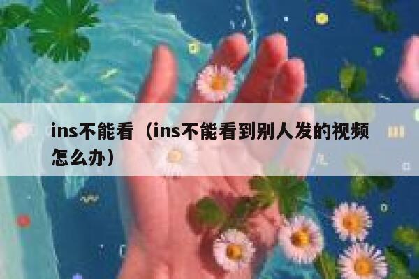 ins不能看（ins不能看到别人发的视频怎么办） 第1张