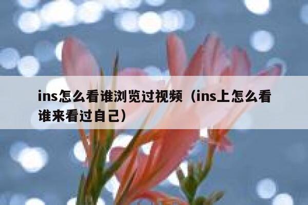 ins怎么看谁浏览过视频（ins上怎么看谁来看过自己） 第1张