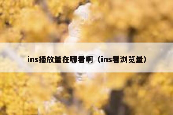 ins播放量在哪看啊（ins看浏览量） 第1张
