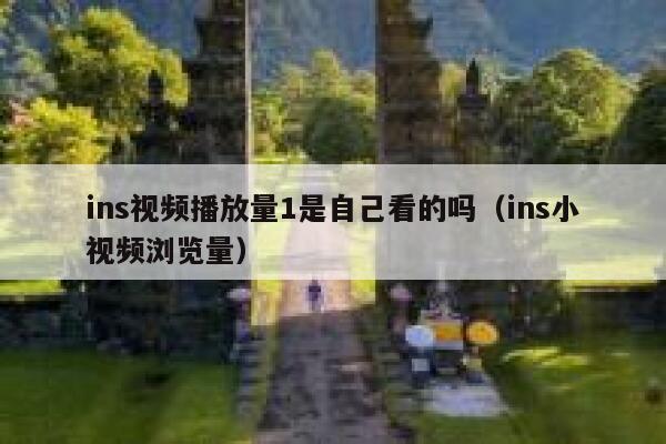 ins视频播放量1是自己看的吗（ins小视频浏览量） 第1张