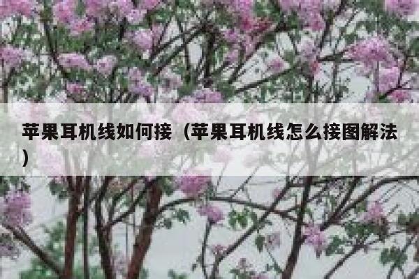 苹果耳机线如何接（苹果耳机线怎么接图解法） 第1张
