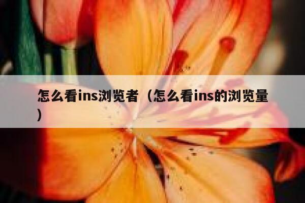 怎么看ins浏览者（怎么看ins的浏览量） 第1张