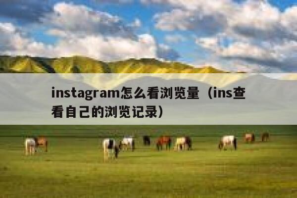 instagram怎么看浏览量（ins查看自己的浏览记录） 第1张