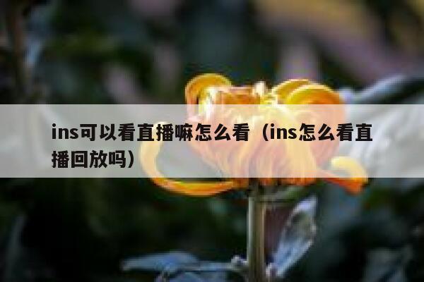 ins可以看直播嘛怎么看（ins怎么看直播回放吗） 第1张