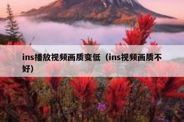 ins播放视频画质变低（ins视频画质不好） 第1张