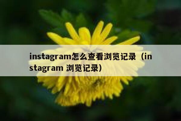 instagram怎么查看浏览记录（instagram 浏览记录） 第1张