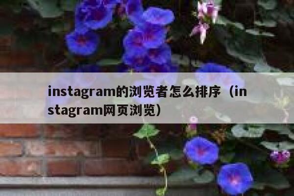 instagram的浏览者怎么排序（instagram网页浏览） 第1张