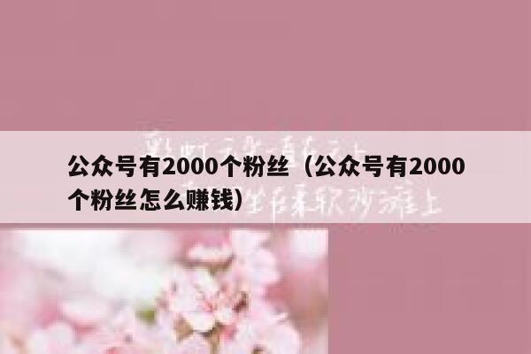 公众号有2000个粉丝（公众号有2000个粉丝怎么赚钱） 第1张