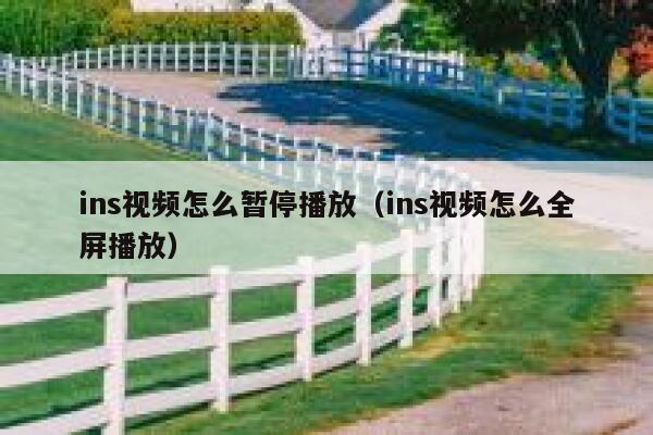 ins视频怎么暂停播放（ins视频怎么全屏播放） 第1张