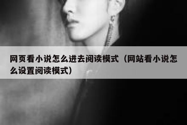 网页看小说怎么进去阅读模式（网站看小说怎么设置阅读模式） 第1张