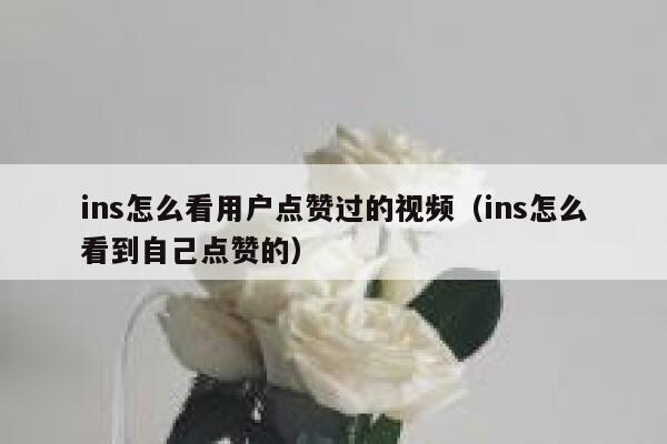 ins怎么看用户点赞过的视频（ins怎么看到自己点赞的） 第1张