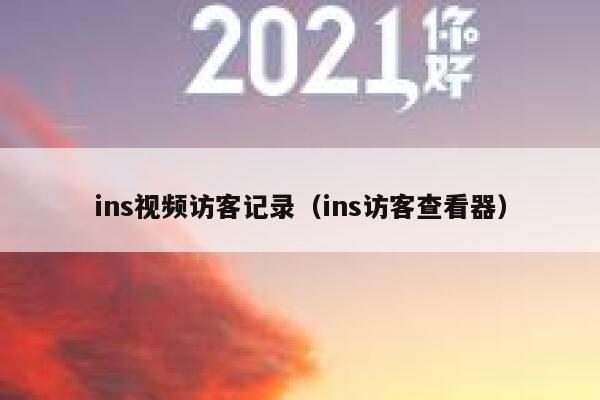 ins视频访客记录（ins访客查看器） 第1张