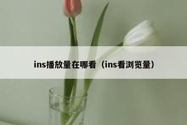 ins播放量在哪看（ins看浏览量） 第1张