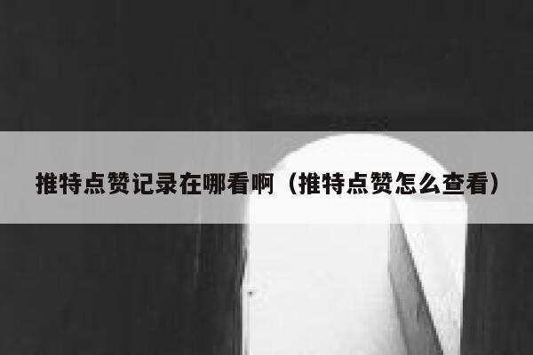 推特点赞记录在哪看啊（推特点赞怎么查看） 第1张