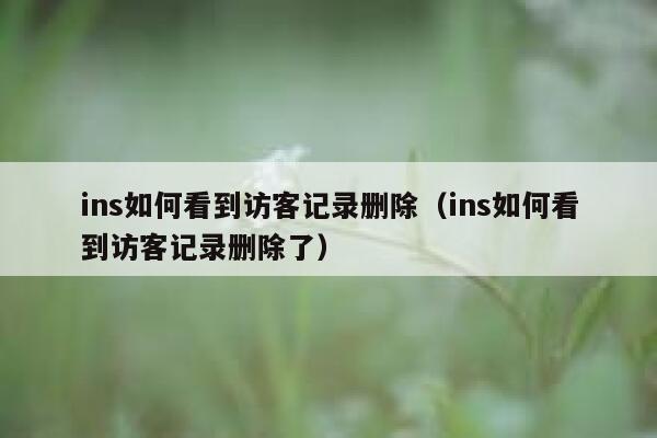 ins如何看到访客记录删除（ins如何看到访客记录删除了） 第1张