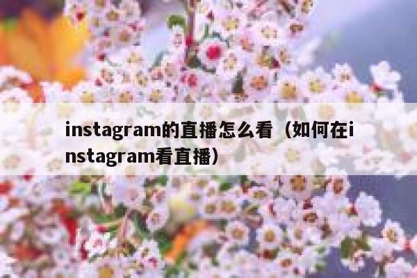 instagram的直播怎么看（如何在instagram看直播） 第1张