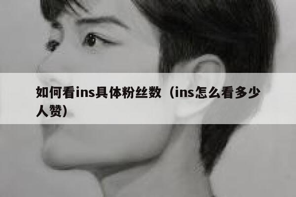 如何看ins具体粉丝数（ins怎么看多少人赞） 第1张
