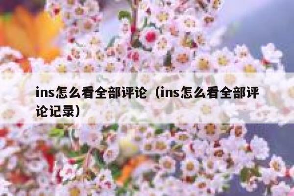 ins怎么看全部评论（ins怎么看全部评论记录） 第1张