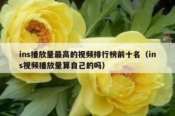 ins播放量最高的视频排行榜前十名（ins视频播放量算自己的吗） 第1张