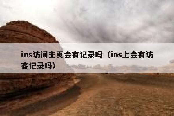 ins访问主页会有记录吗（ins上会有访客记录吗） 第1张
