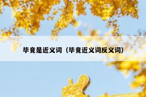 毕竟是近义词（毕竟近义词反义词） 第1张