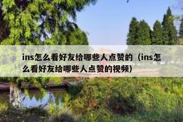 ins怎么看好友给哪些人点赞的（ins怎么看好友给哪些人点赞的视频） 第1张