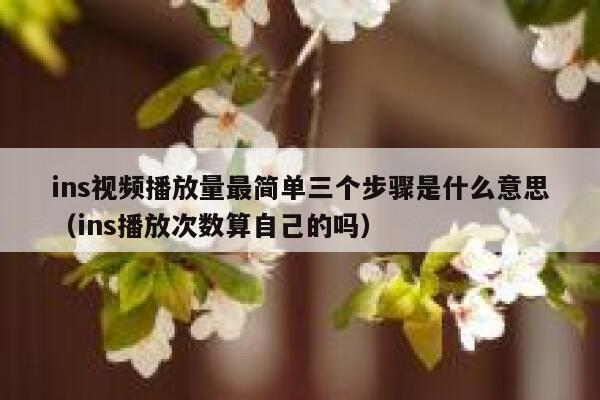 ins视频播放量最简单三个步骤是什么意思（ins播放次数算自己的吗） 第1张
