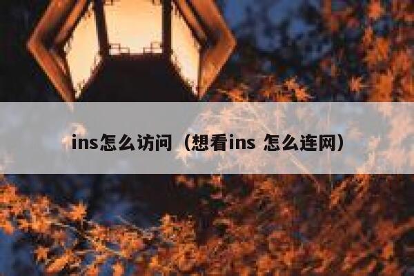 ins怎么访问（想看ins 怎么连网） 第1张