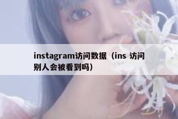 instagram访问数据（ins 访问别人会被看到吗） 第1张