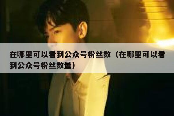 在哪里可以看到公众号粉丝数（在哪里可以看到公众号粉丝数量） 第1张