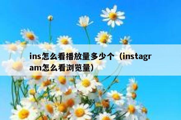 ins怎么看播放量多少个（instagram怎么看浏览量） 第1张
