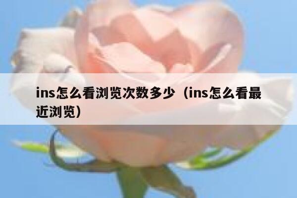 ins怎么看浏览次数多少（ins怎么看最近浏览） 第1张