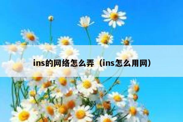 ins的网络怎么弄(ins怎么用网) 第1张 ins的网络怎么弄(ins怎么用网) 第1张