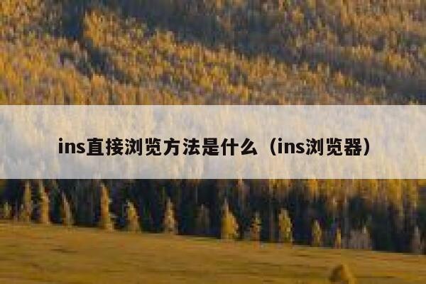 ins直接浏览方法是什么（ins浏览器） 第1张