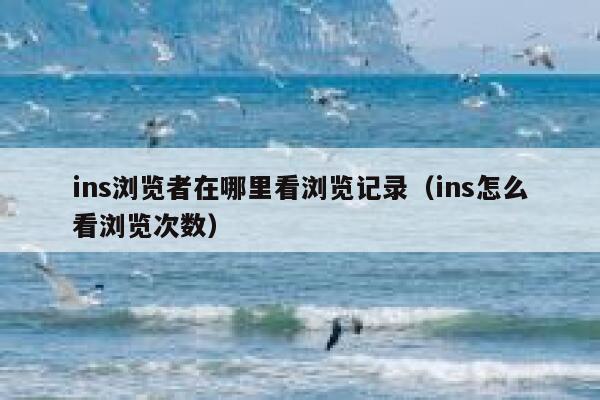 ins浏览者在哪里看浏览记录（ins怎么看浏览次数） 第1张