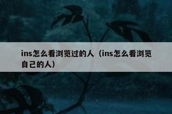 ins怎么看浏览过的人（ins怎么看浏览自己的人） 第1张