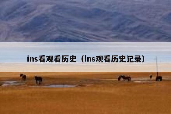 ins看观看历史（ins观看历史记录） 第1张